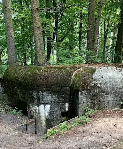 Bunkry Pozycji Jezior Brodnickich