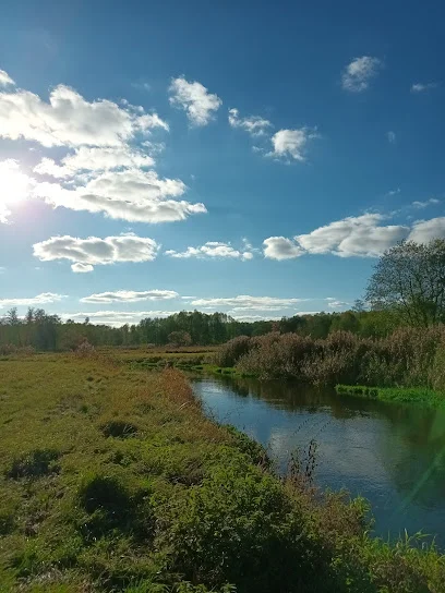 Rzeka Drwęca