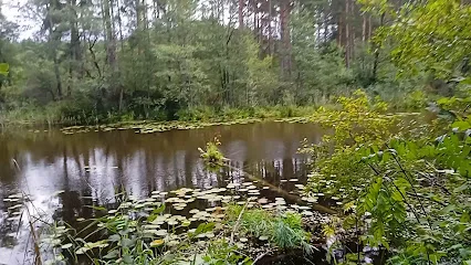 Rzeka Skarlanka